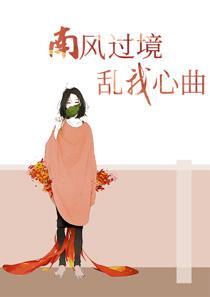 书名南风过境