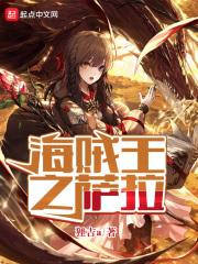 海贼王之萨卡斯基元帅