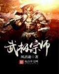 武极宗师评价