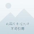 乖乖别逃