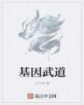 基因武道最强三个功法