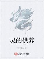供奉灵体是什么