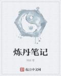炼丹术书