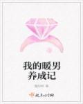 我的暖男大叔