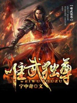 唯武独尊是什么意思