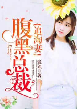 腹黑总裁追逃妻全文