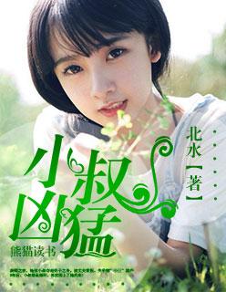 小叔凶猛txt笔趣阁