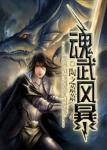 魂武分配