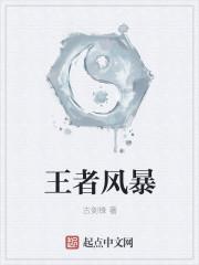 王者风暴贴吧