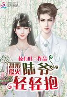 甜婚密令陆少的医神娇妻免费阅读