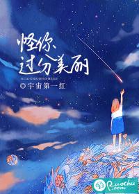 怪你过分美丽莫向晚结局