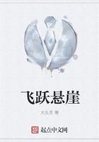 悬崖飞翔