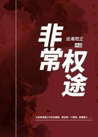 非常权途作者沧海而立