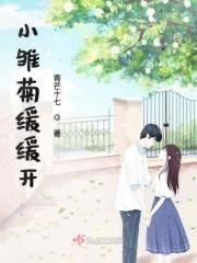 小雏菊开花视频