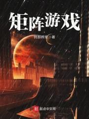 第二本矩阵游戏 作者刹那辉煌