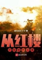 从红楼世界开始笔趣阁