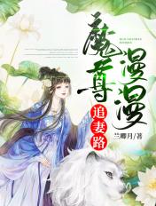 魔尊追妻录