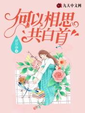 何以共白头剧情